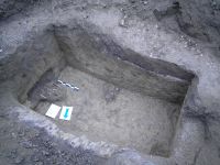 Cronica Cercetărilor Arheologice din România, Campania 2006. Raportul nr. 64