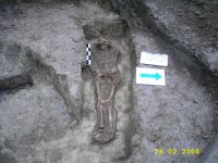 Cronica Cercetărilor Arheologice din România, Campania 2006. Raportul nr. 64