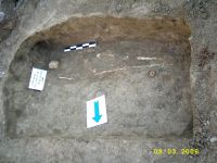 Cronica Cercetărilor Arheologice din România, Campania 2006. Raportul nr. 64