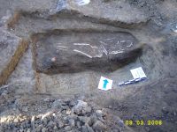 Cronica Cercetărilor Arheologice din România, Campania 2006. Raportul nr. 64