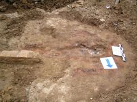 Cronica Cercetărilor Arheologice din România, Campania 2006. Raportul nr. 64