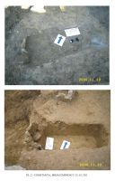 Cronica Cercetărilor Arheologice din România, Campania 2006. Raportul nr. 65