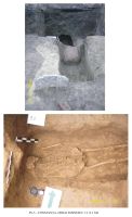 Cronica Cercetărilor Arheologice din România, Campania 2006. Raportul nr. 65