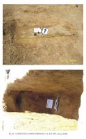 Cronica Cercetărilor Arheologice din România, Campania 2006. Raportul nr. 65