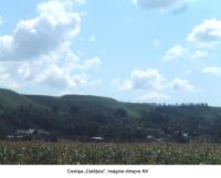Cronica Cercetărilor Arheologice din România, Campania 2006. Raportul nr. 67