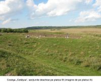 Cronica Cercetărilor Arheologice din România, Campania 2006. Raportul nr. 67