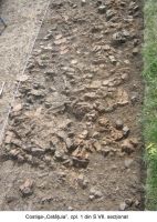 Cronica Cercetărilor Arheologice din România, Campania 2006. Raportul nr. 67