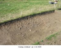 Cronica Cercetărilor Arheologice din România, Campania 2006. Raportul nr. 67