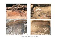 Cronica Cercetărilor Arheologice din România, Campania 2006. Raportul nr. 69