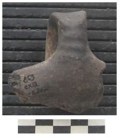 Cronica Cercetărilor Arheologice din România, Campania 2006. Raportul nr. 78