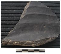 Cronica Cercetărilor Arheologice din România, Campania 2006. Raportul nr. 78