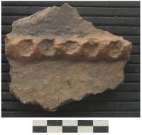 Cronica Cercetărilor Arheologice din România, Campania 2006. Raportul nr. 78