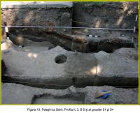 Cronica Cercetărilor Arheologice din România, Campania 2006. Raportul nr. 80