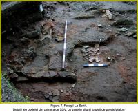 Cronica Cercetărilor Arheologice din România, Campania 2006. Raportul nr. 80