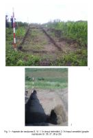 Cronica Cercetărilor Arheologice din România, Campania 2006. Raportul nr. 82