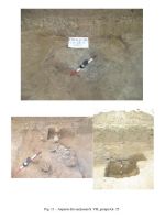 Cronica Cercetărilor Arheologice din România, Campania 2006. Raportul nr. 82