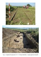 Cronica Cercetărilor Arheologice din România, Campania 2006. Raportul nr. 82