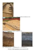 Cronica Cercetărilor Arheologice din România, Campania 2006. Raportul nr. 83