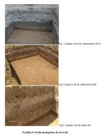 Cronica Cercetărilor Arheologice din România, Campania 2006. Raportul nr. 83