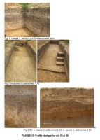 Cronica Cercetărilor Arheologice din România, Campania 2006. Raportul nr. 83