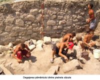 Cronica Cercetărilor Arheologice din România, Campania 2006. Raportul nr. 93