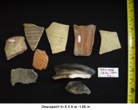 Cronica Cercetărilor Arheologice din România, Campania 2006. Raportul nr. 93