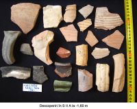 Cronica Cercetărilor Arheologice din România, Campania 2006. Raportul nr. 93