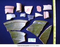 Cronica Cercetărilor Arheologice din România, Campania 2006. Raportul nr. 93