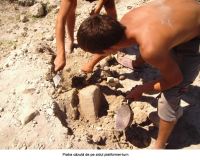 Cronica Cercetărilor Arheologice din România, Campania 2006. Raportul nr. 93