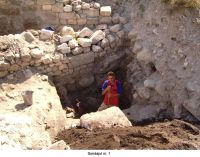 Cronica Cercetărilor Arheologice din România, Campania 2006. Raportul nr. 93