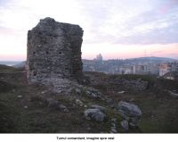 Cronica Cercetărilor Arheologice din România, Campania 2006. Raportul nr. 93