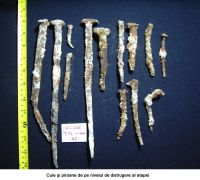 Cronica Cercetărilor Arheologice din România, Campania 2006. Raportul nr. 93