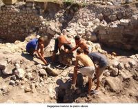 Cronica Cercetărilor Arheologice din România, Campania 2006. Raportul nr. 93