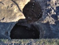 Cronica Cercetărilor Arheologice din România, Campania 2006. Raportul nr. 96