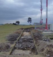 Cronica Cercetărilor Arheologice din România, Campania 2006. Raportul nr. 96