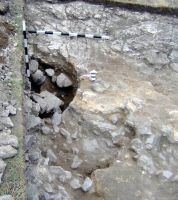 Cronica Cercetărilor Arheologice din România, Campania 2006. Raportul nr. 96