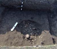 Cronica Cercetărilor Arheologice din România, Campania 2006. Raportul nr. 96