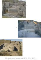 Cronica Cercetărilor Arheologice din România, Campania 2006. Raportul nr. 99