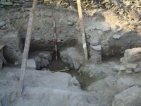 Cronica Cercetărilor Arheologice din România, Campania 2006. Raportul nr. 100