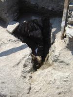 Cronica Cercetărilor Arheologice din România, Campania 2006. Raportul nr. 100