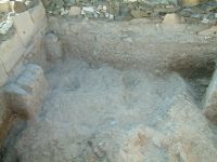 Cronica Cercetărilor Arheologice din România, Campania 2006. Raportul nr. 100