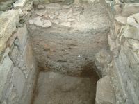 Cronica Cercetărilor Arheologice din România, Campania 2006. Raportul nr. 100