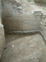 Cronica Cercetărilor Arheologice din România, Campania 2006. Raportul nr. 100