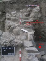 Cronica Cercetărilor Arheologice din România, Campania 2006. Raportul nr. 100