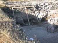 Cronica Cercetărilor Arheologice din România, Campania 2006. Raportul nr. 100
