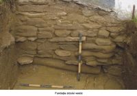 Cronica Cercetărilor Arheologice din România, Campania 2006. Raportul nr. 102