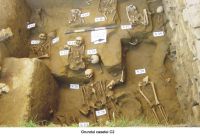 Cronica Cercetărilor Arheologice din România, Campania 2006. Raportul nr. 102
