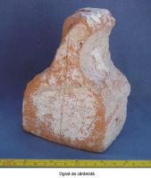 Cronica Cercetărilor Arheologice din România, Campania 2006. Raportul nr. 102