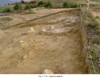 Cronica Cercetărilor Arheologice din România, Campania 2006. Raportul nr. 106