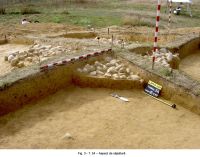 Cronica Cercetărilor Arheologice din România, Campania 2006. Raportul nr. 106